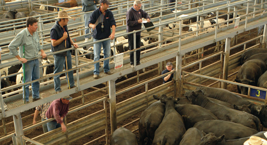 The VLE Supaway walkway system has reduced the risk of staff injury